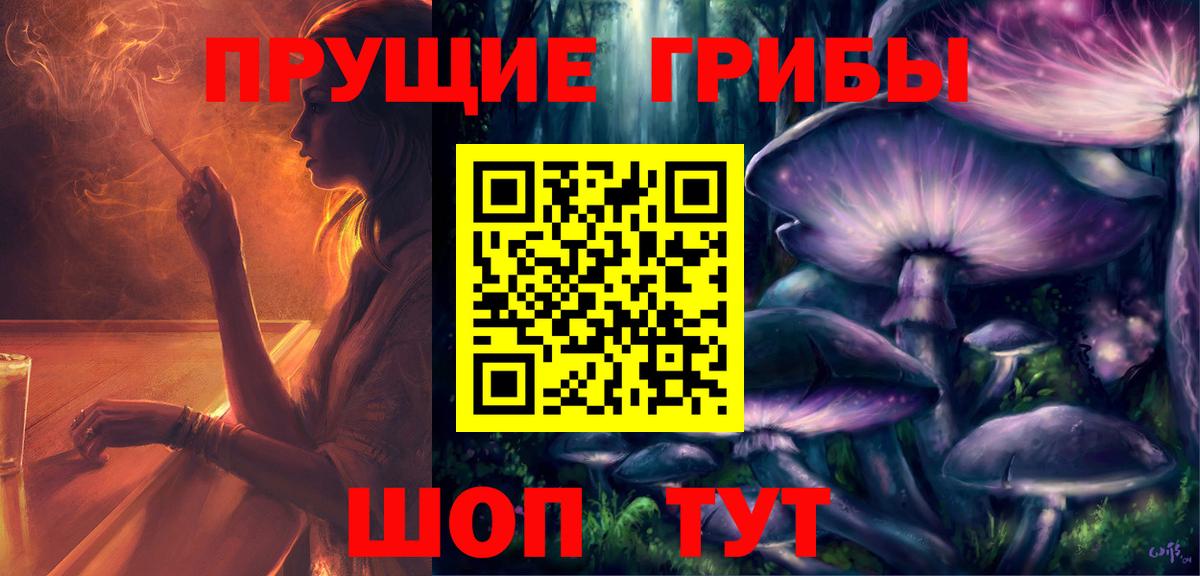 Хасавюрт  Псилоцибиновые грибы Cubensis  Вход с VPN 