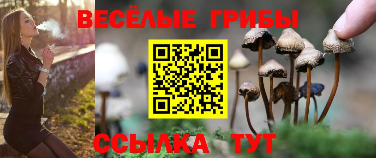 Галлюциногенные грибы прущие грибы Хасавюрт